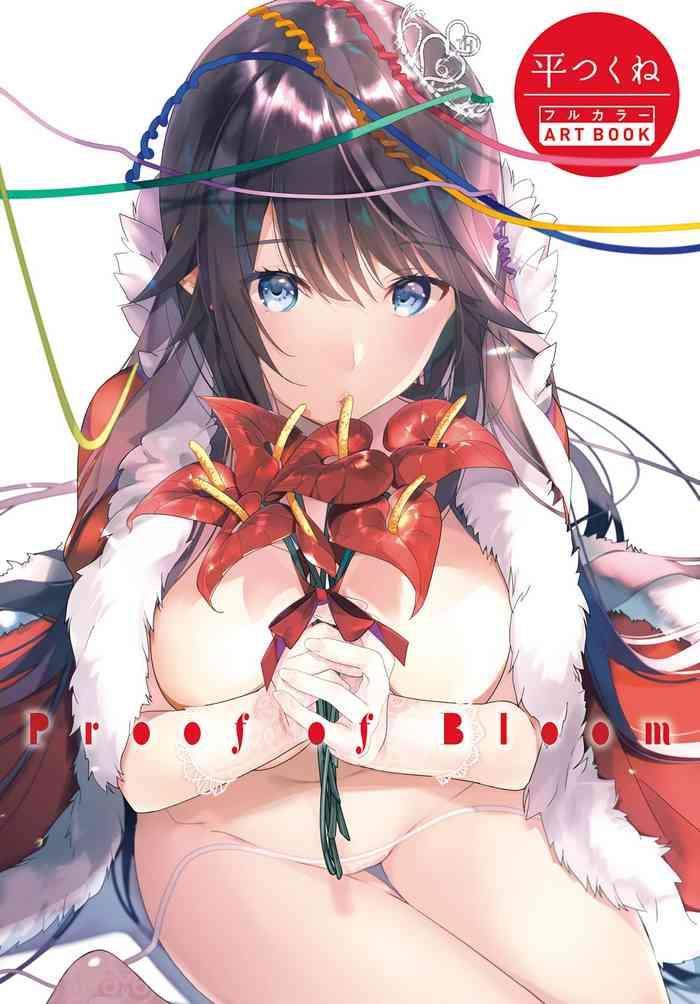 Eng Sub Taira Tsukune Full Color ART BOOK Reluctant