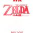 Small Boobs NISE Zelda no Densetsu Prologue- The legend of zelda hentai Web Cam