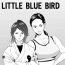Huge Little Blue Bird Gay 3some