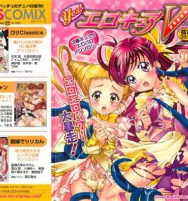 Roleplay Yes! Erocure V- Pretty cure hentai Yes precure 5 hentai Group Sex